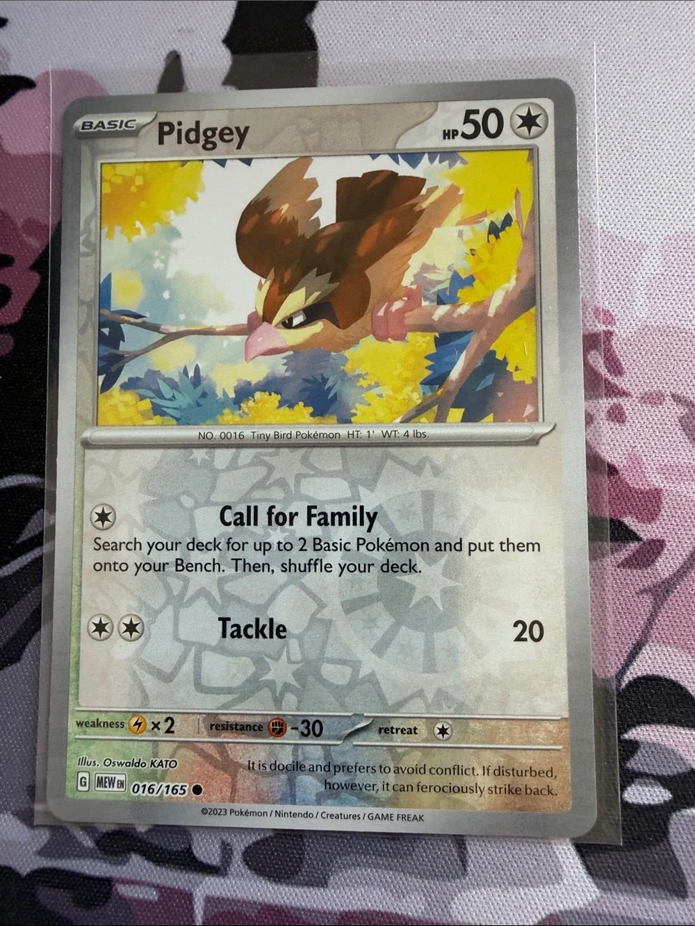 Pidgey, Pidgeotto & Pidgeot Evolution Lot | 5 Cards | Reverse Holo | ✨5/$25✨